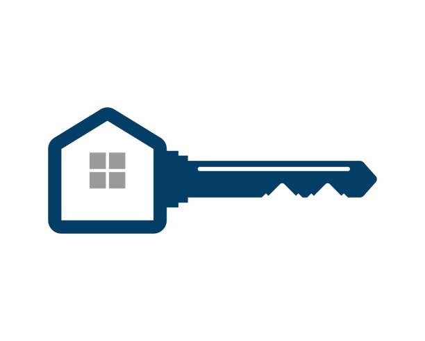 Smart Firework LED Lights