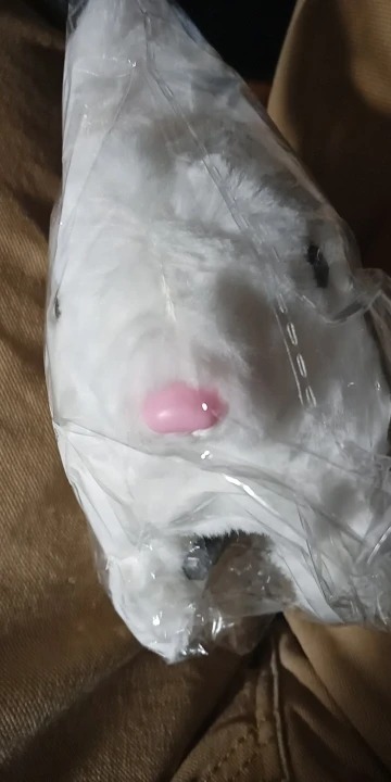 onepagecdn